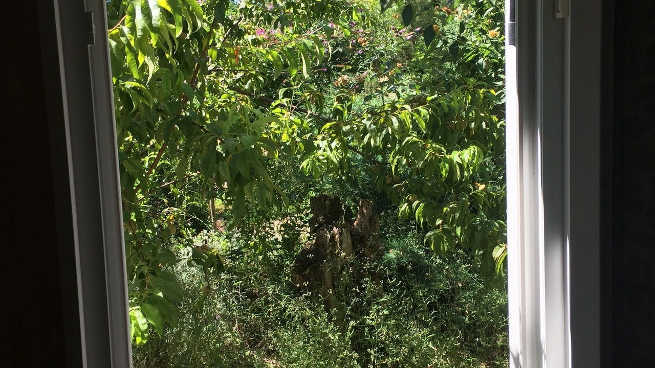 Photo of Others in Saint-Paul-Lizonne