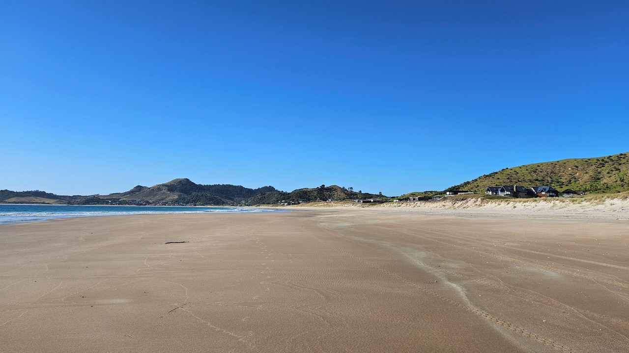 Photo of Others in Opito Bay