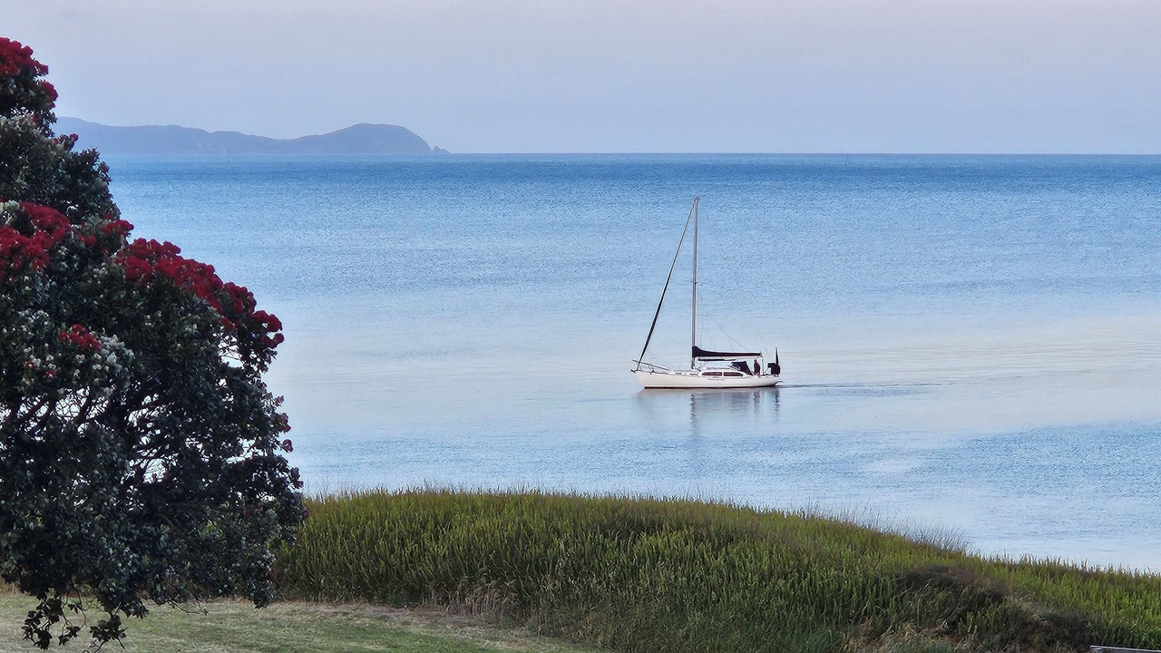 Photo of Others in Opito Bay