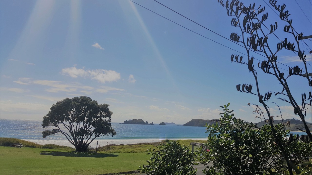 Photo of Others in Opito Bay