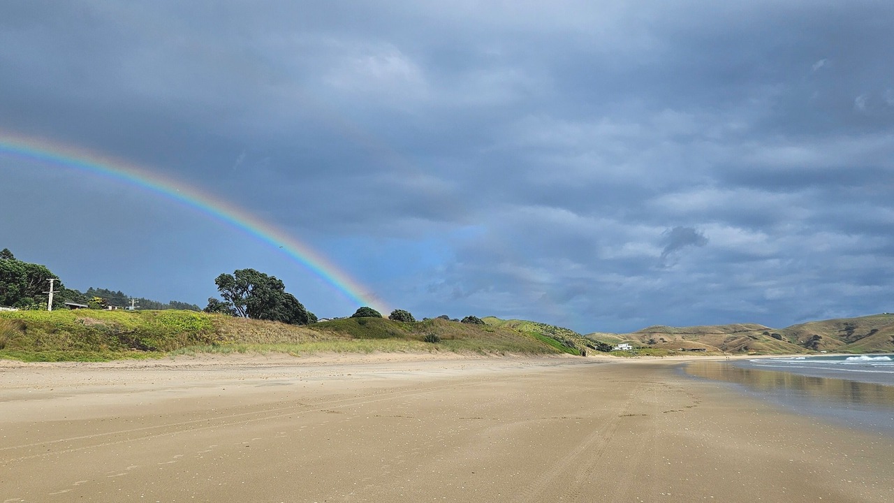 Photo of Others in Opito Bay