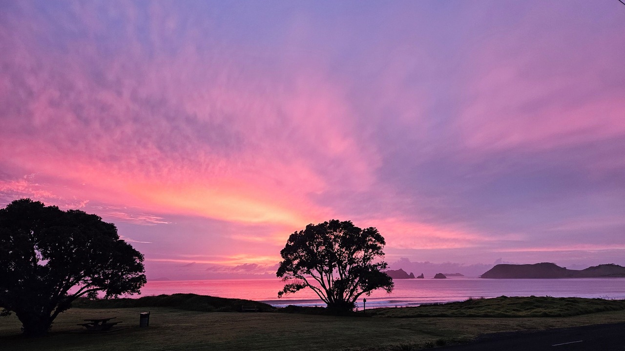 Photo of Others in Opito Bay