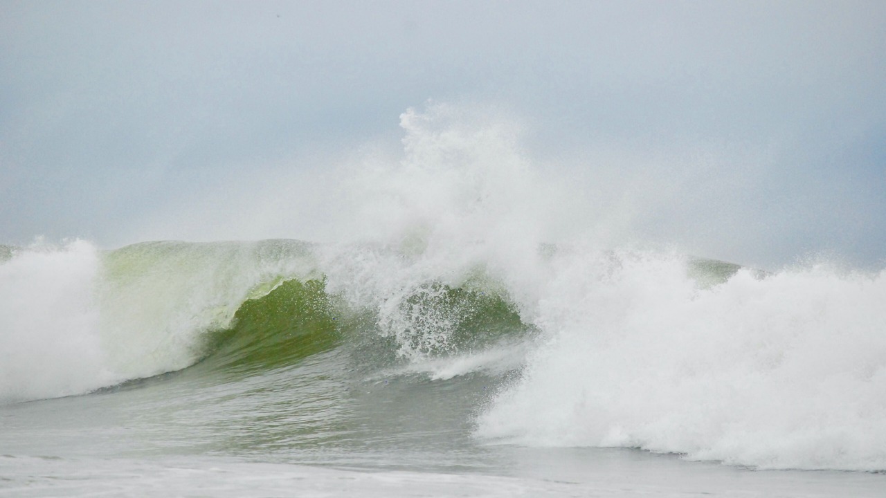 Photo of Others in Wall