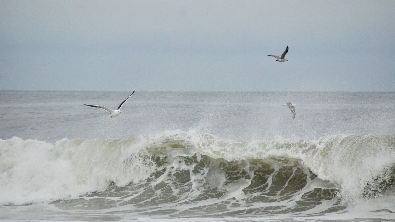 Photo of Others in Wall
