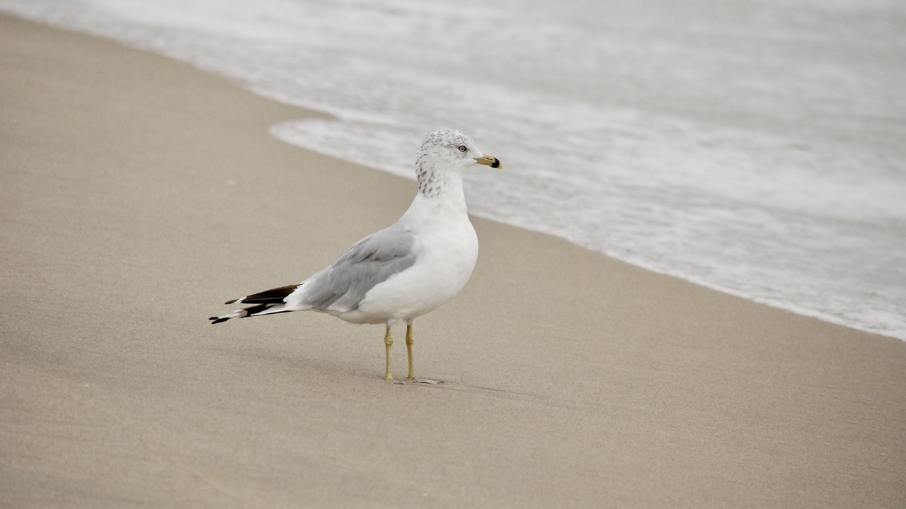 Photo of Others in Wall