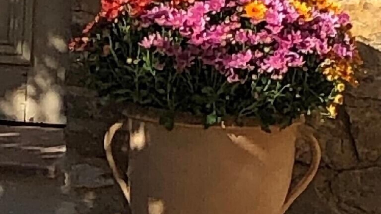 Photo of Outdoor in Barjac