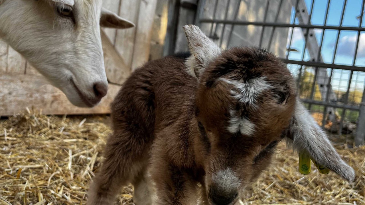 Photo of Others in Gras