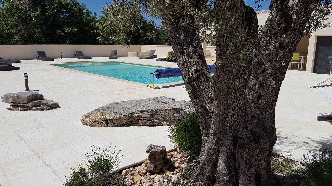 Photo of Outdoor in Gras