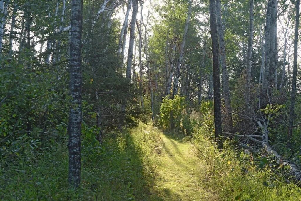 Photo of Outdoor in Erickson