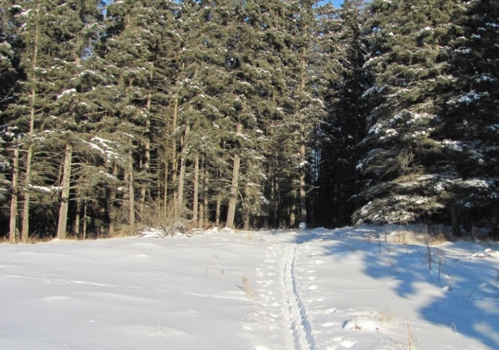 Photo of Outdoor in Erickson