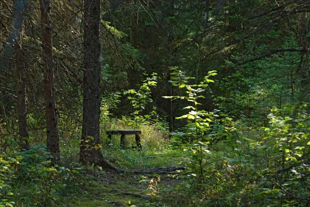 Photo of Outdoor in Erickson