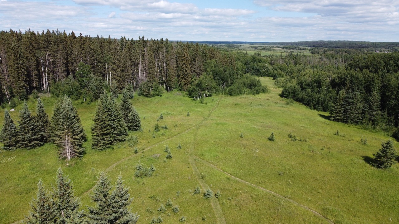 Photo of Outdoor in Erickson