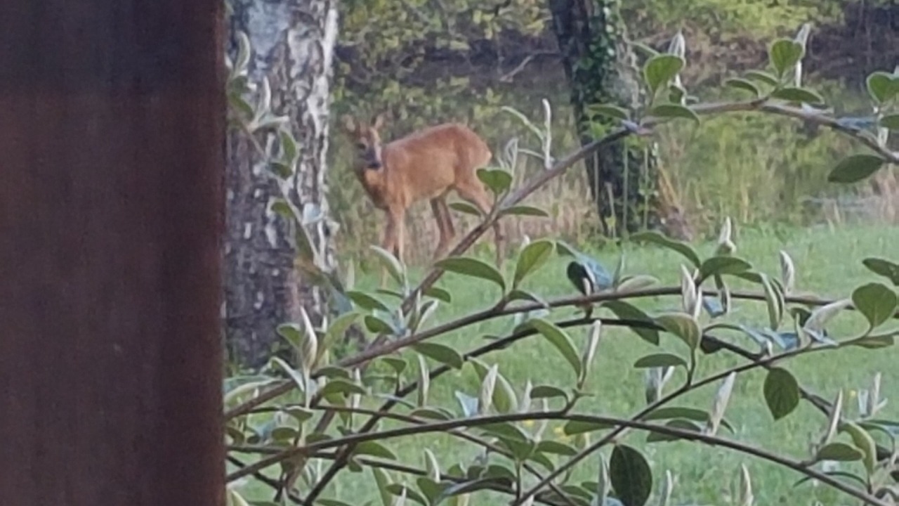 Photo of Others in La Chapelle Montbrandeix
