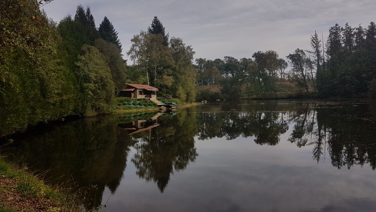 Photo of Others in La Chapelle Montbrandeix