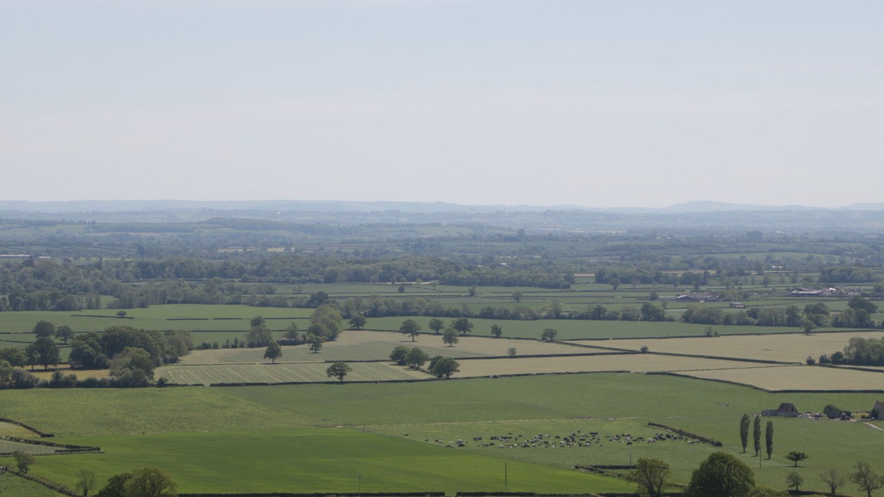 Photo of Others in Ditcheat