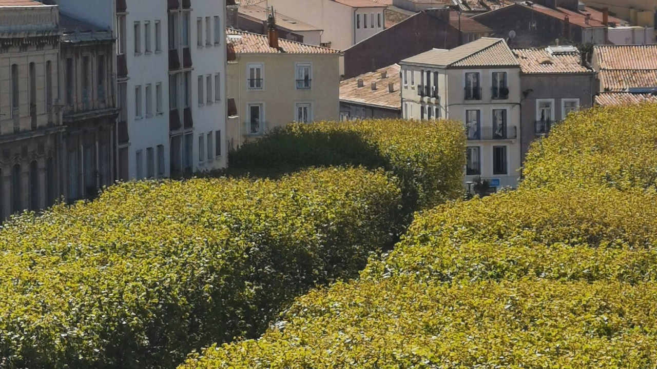 Photo of Outdoor in Sete