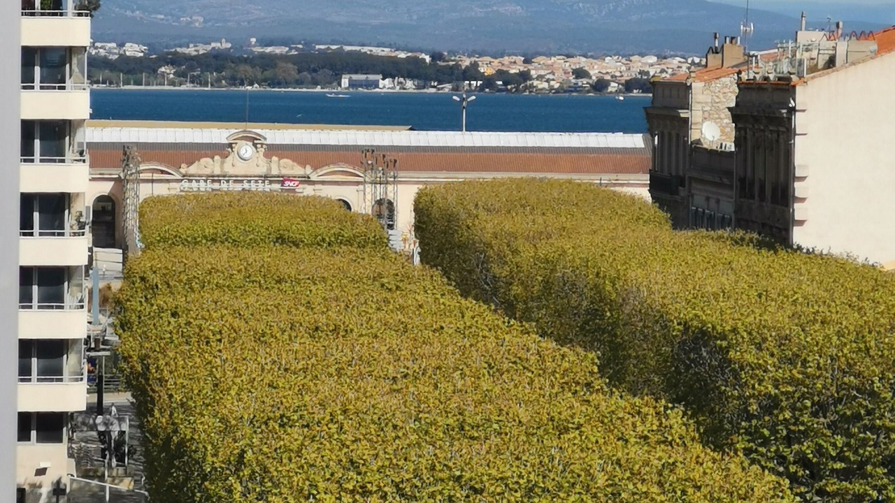 Photo of Others in Sete