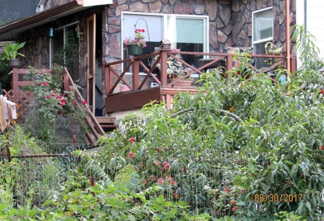 Photo of Others in Northwest Ithaca