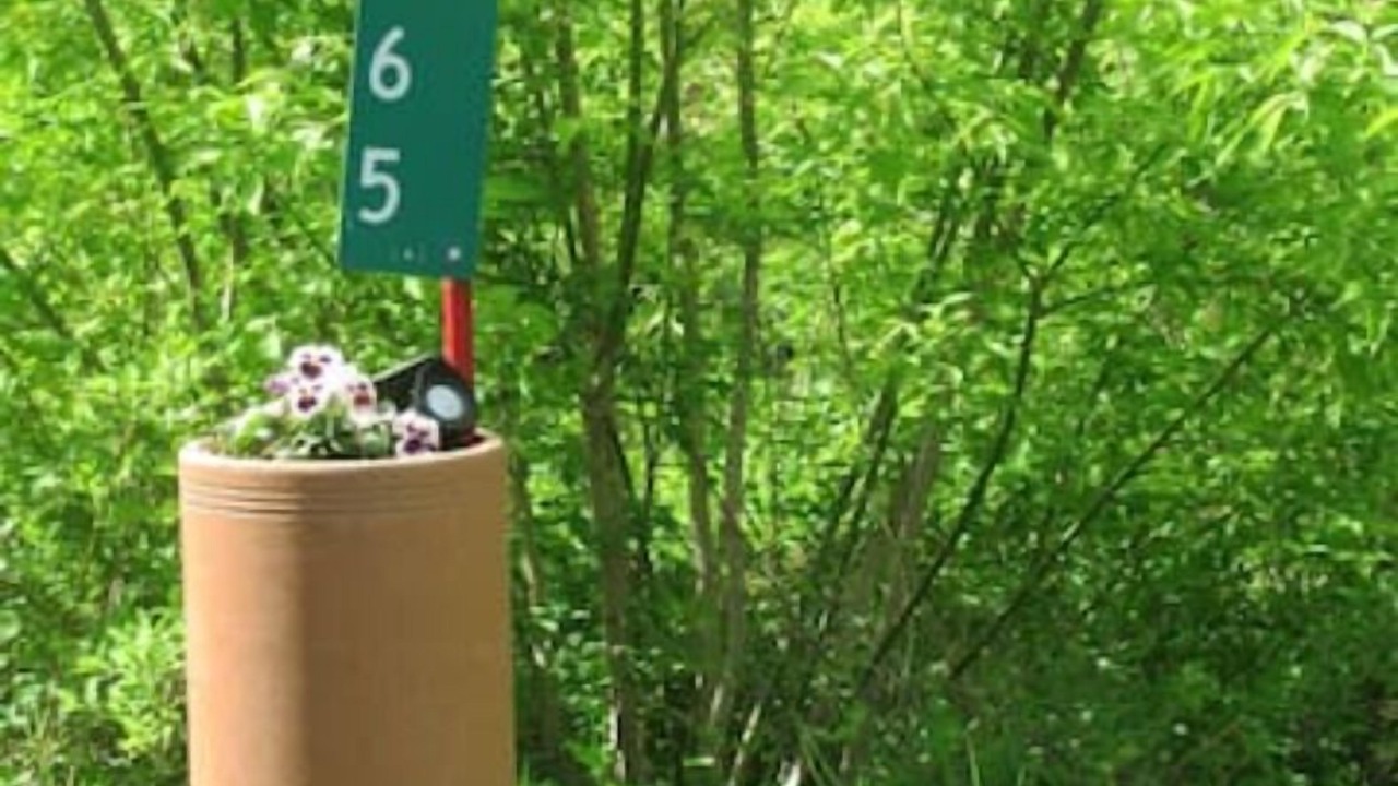 Photo of Others in Northwest Ithaca