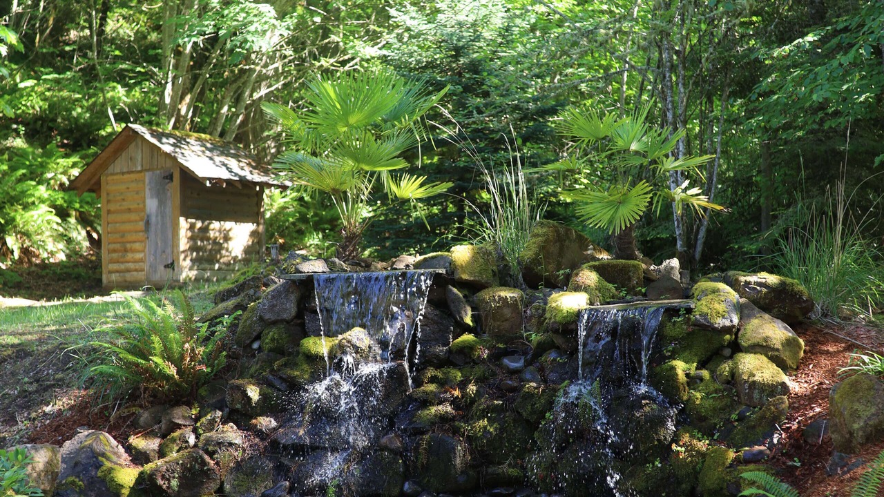 Photo of Outdoor in Thurston