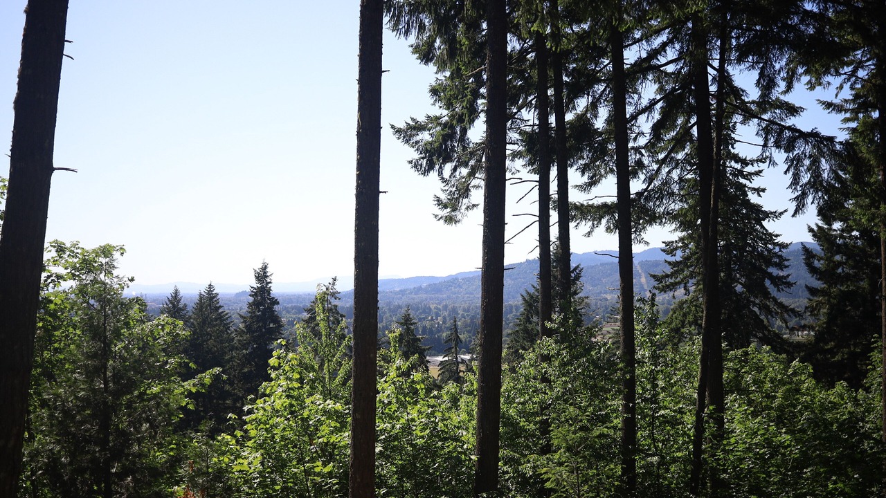 Photo of Outdoor in Thurston