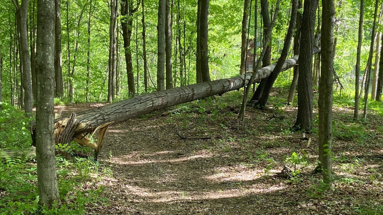 Photo of Outdoor in South Hartford