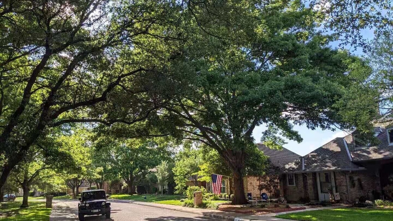 Photo of Outdoor in Far North Dallas