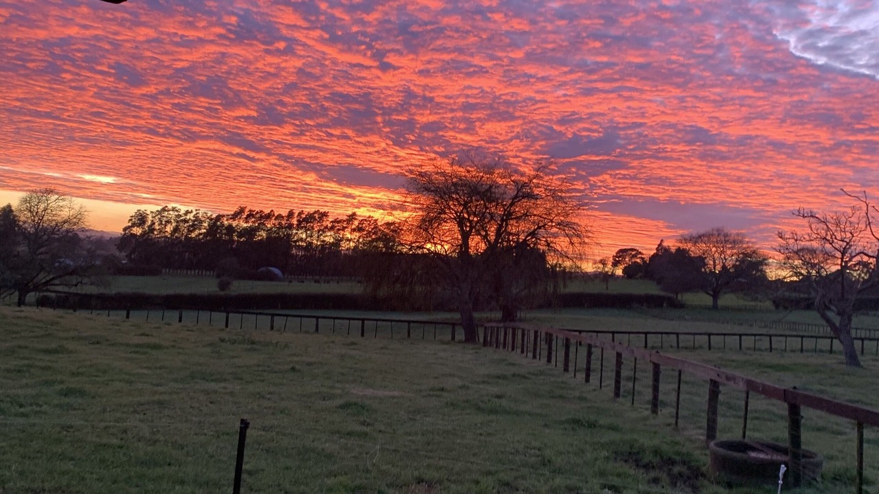 Photo of Outdoor in Rukuhia