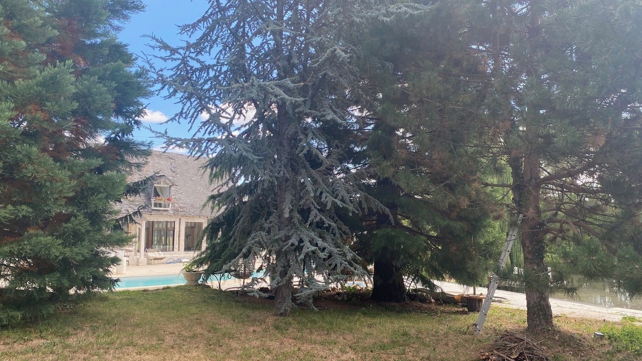 Photo of Outdoor in Pont-l'Eveque