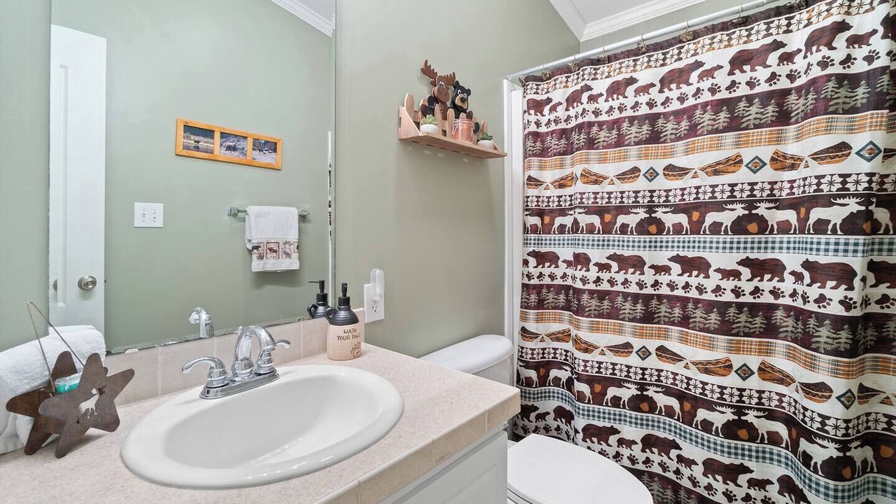 Photo of Bathroom in Pineola