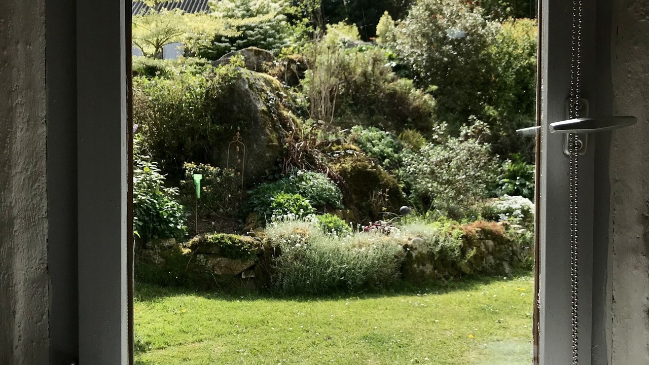 Photo of Others in Commana