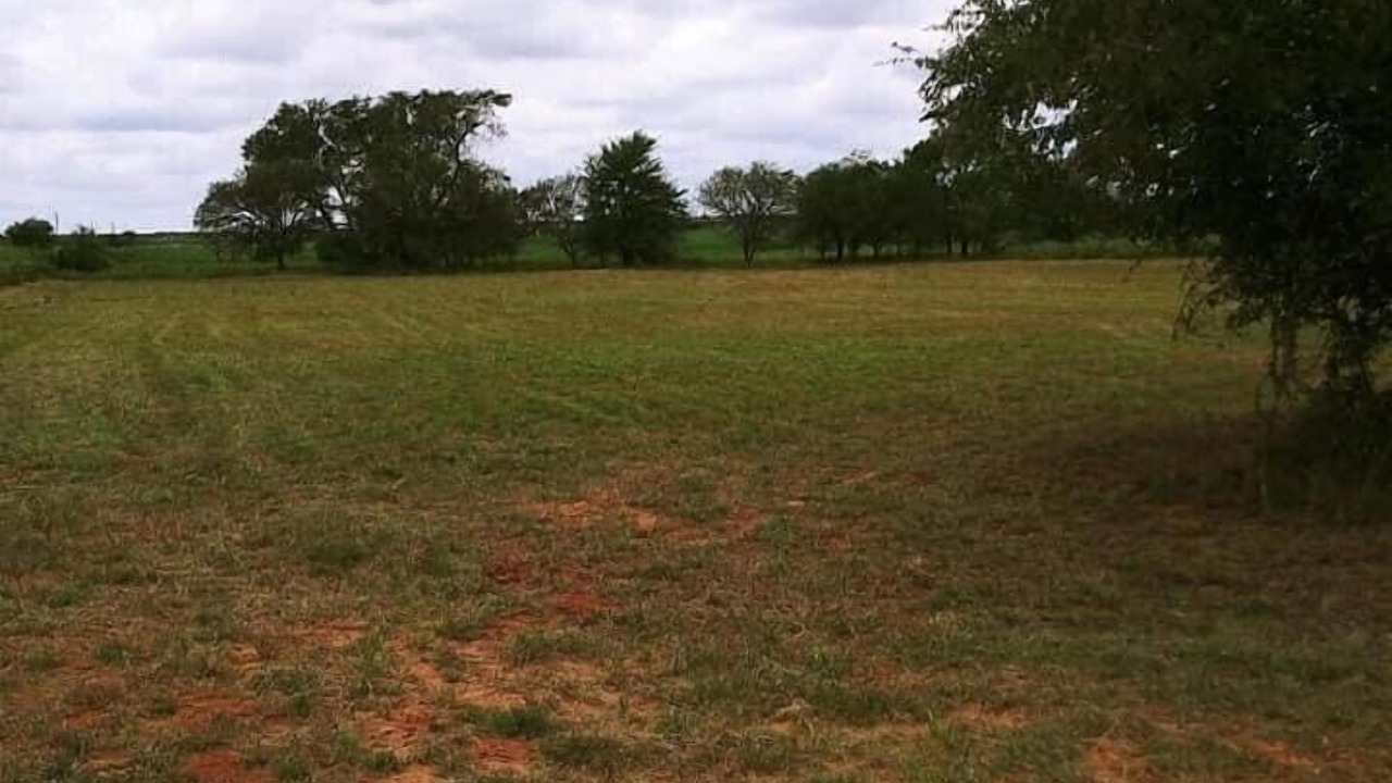 Photo of Others in Childress