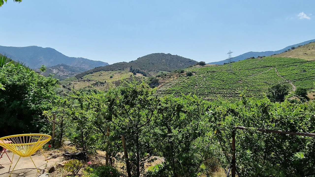 Photo of Outdoor in Banyuls-sur-Mer