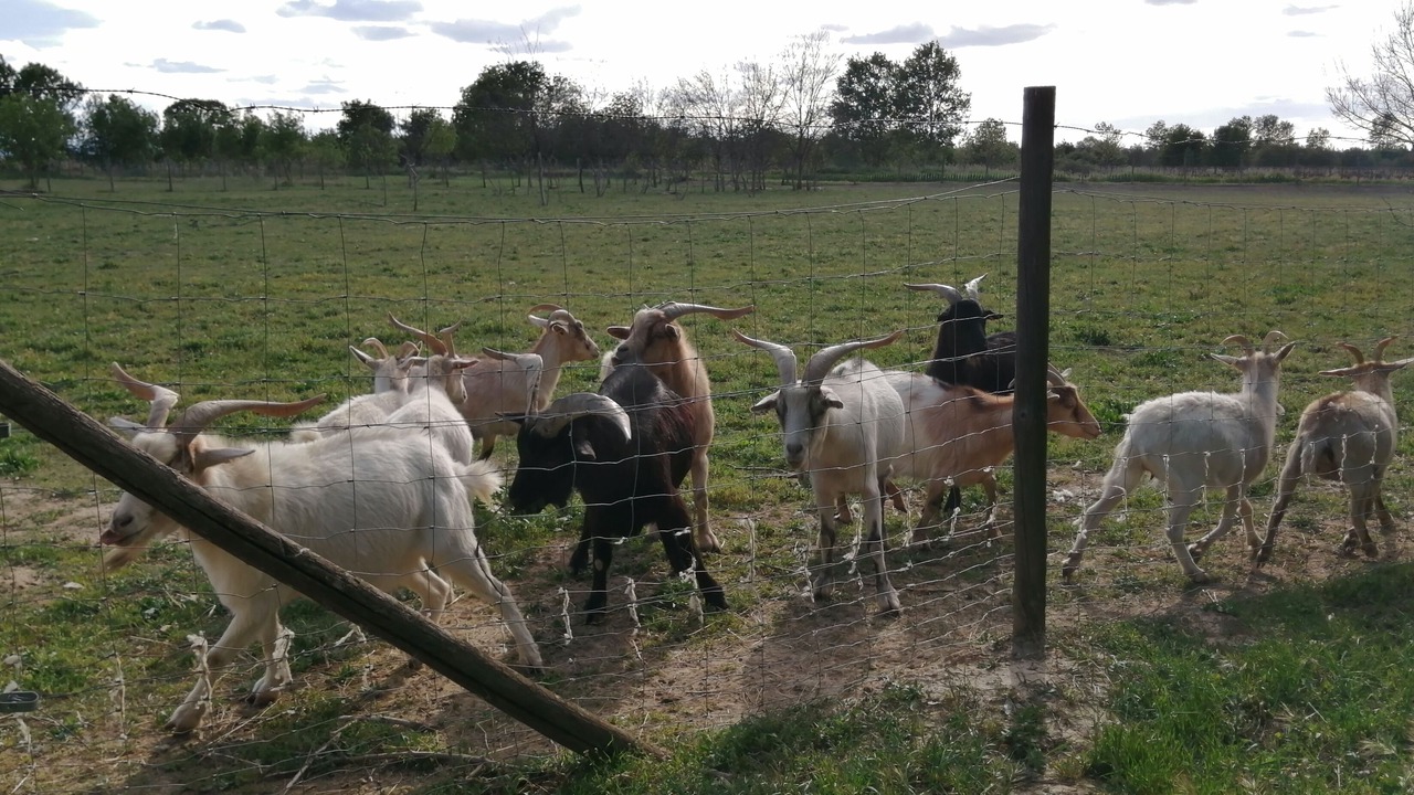 Photo of Outdoor in Vinassan