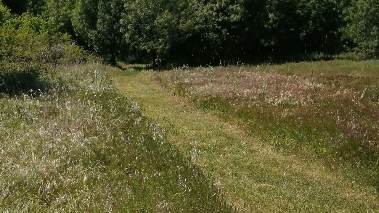 Photo of Outdoor in Vinassan