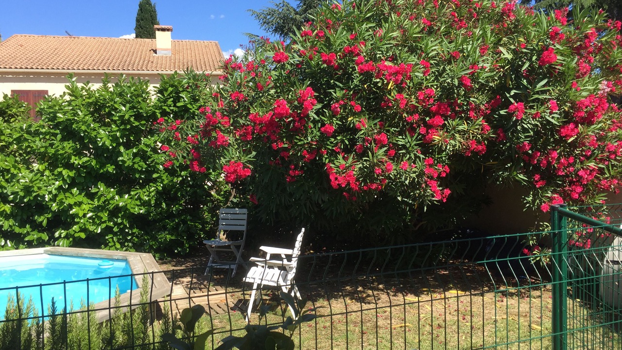 Photo of Outdoor in Baillargues