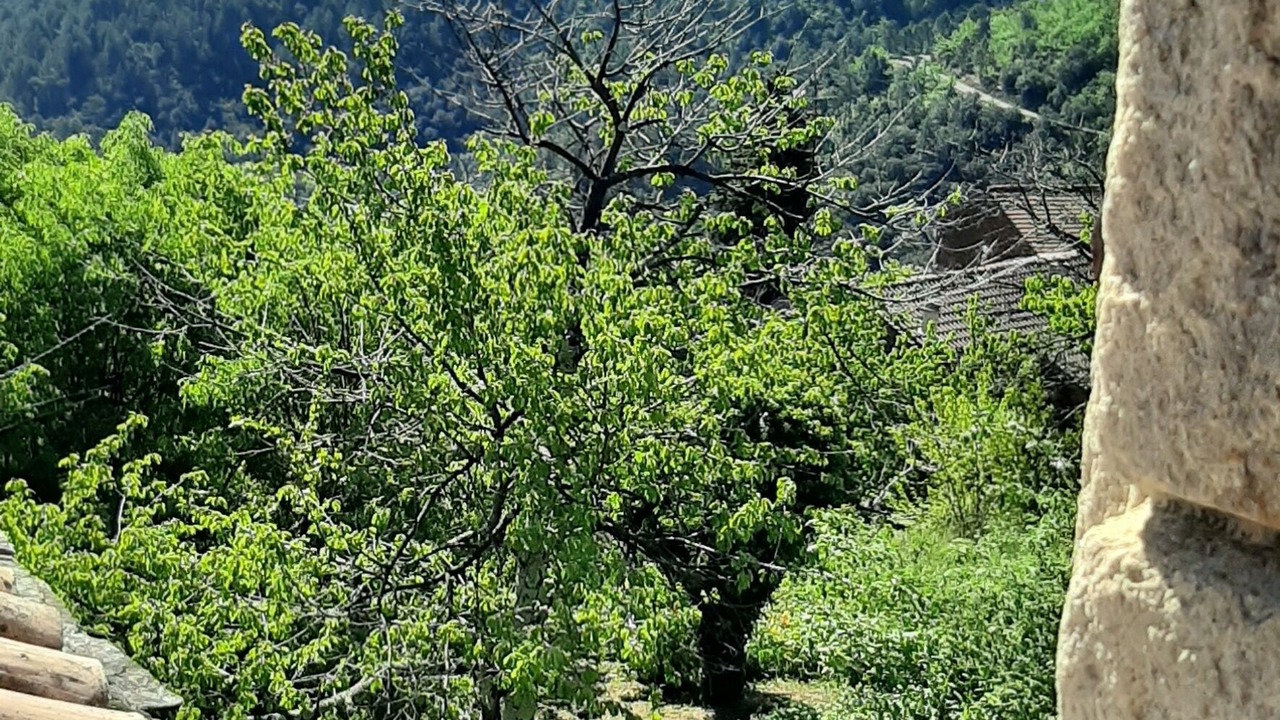 Photo of Outdoor in Malbosc