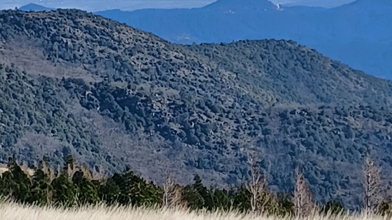 Photo of Others in Malbosc
