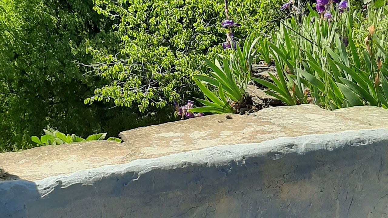 Photo of Outdoor in Malbosc