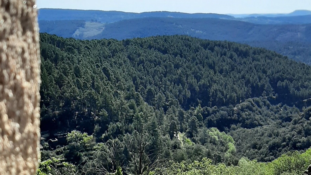 Photo of Others in Malbosc