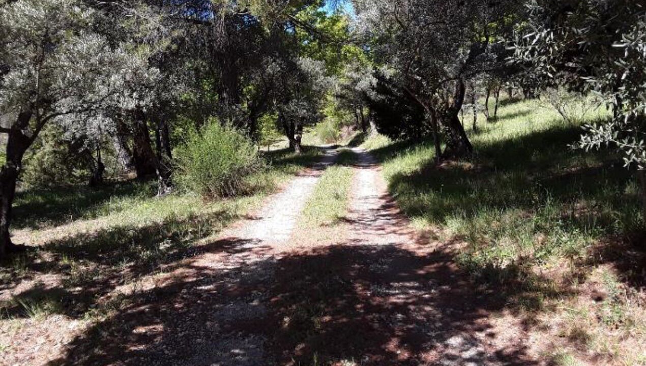 Photo of Outdoor in Villeneuve