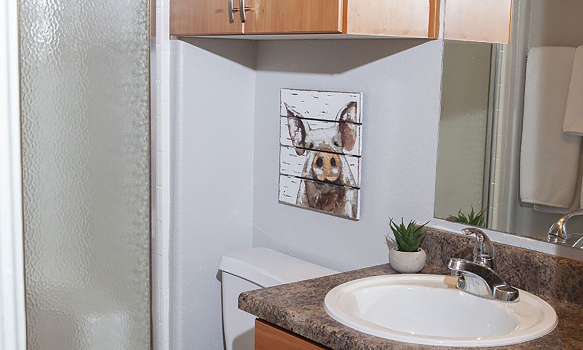 Photo of Bathroom in Litchfield Park