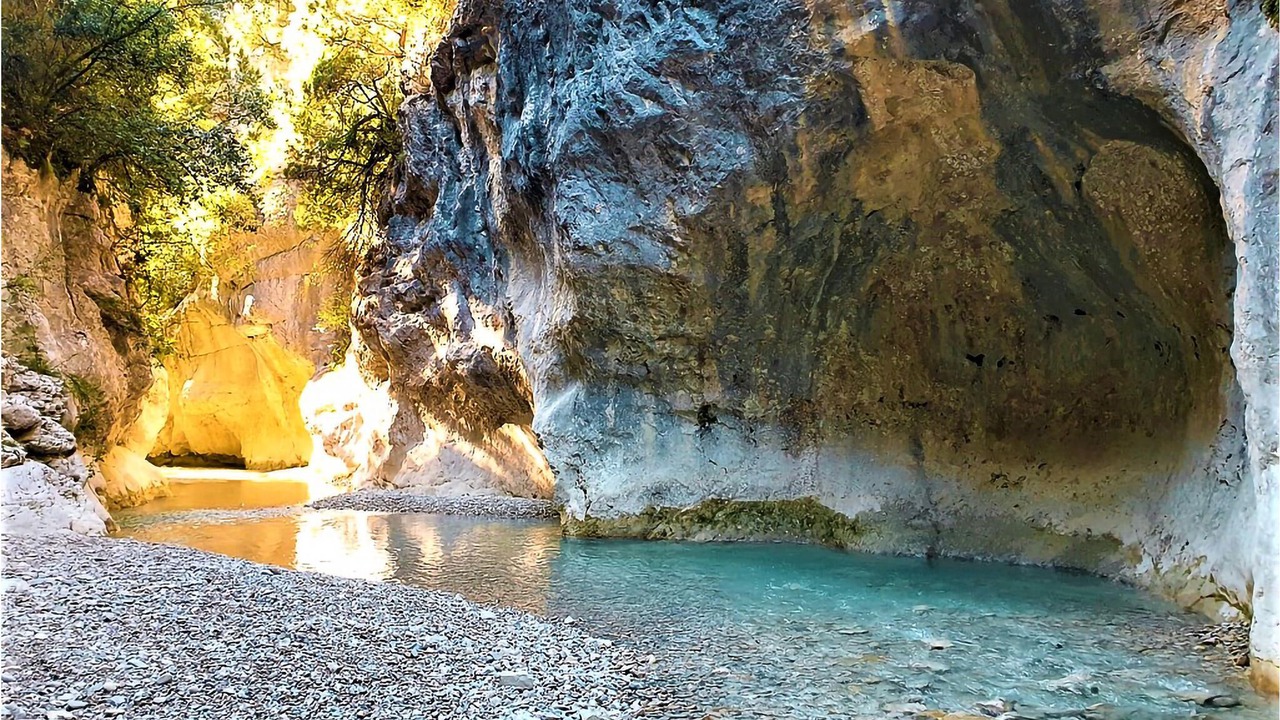 Photo of Others in Violes