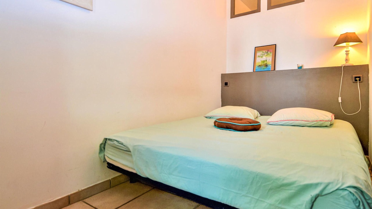 Photo of Others in Violes