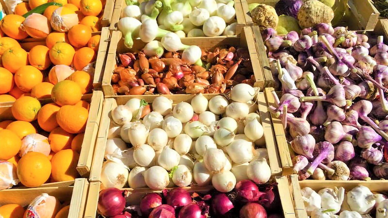 Photo of Others in Violes