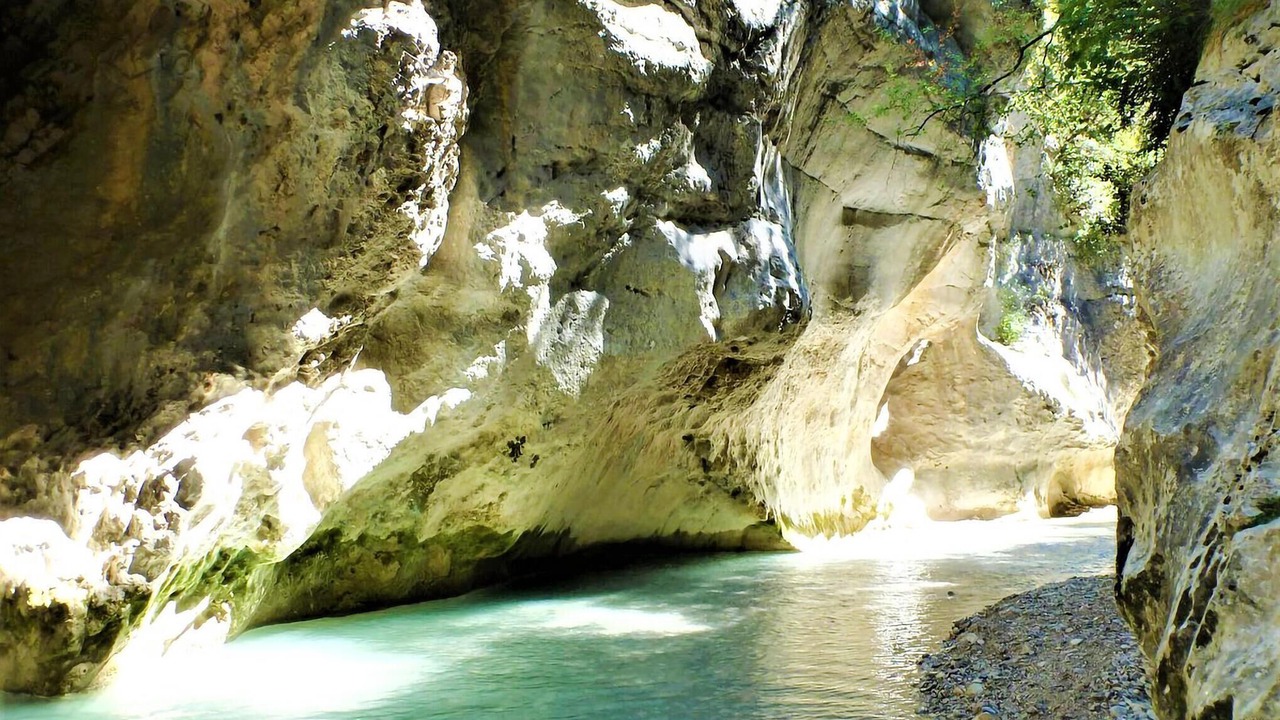 Photo of Others in Violes