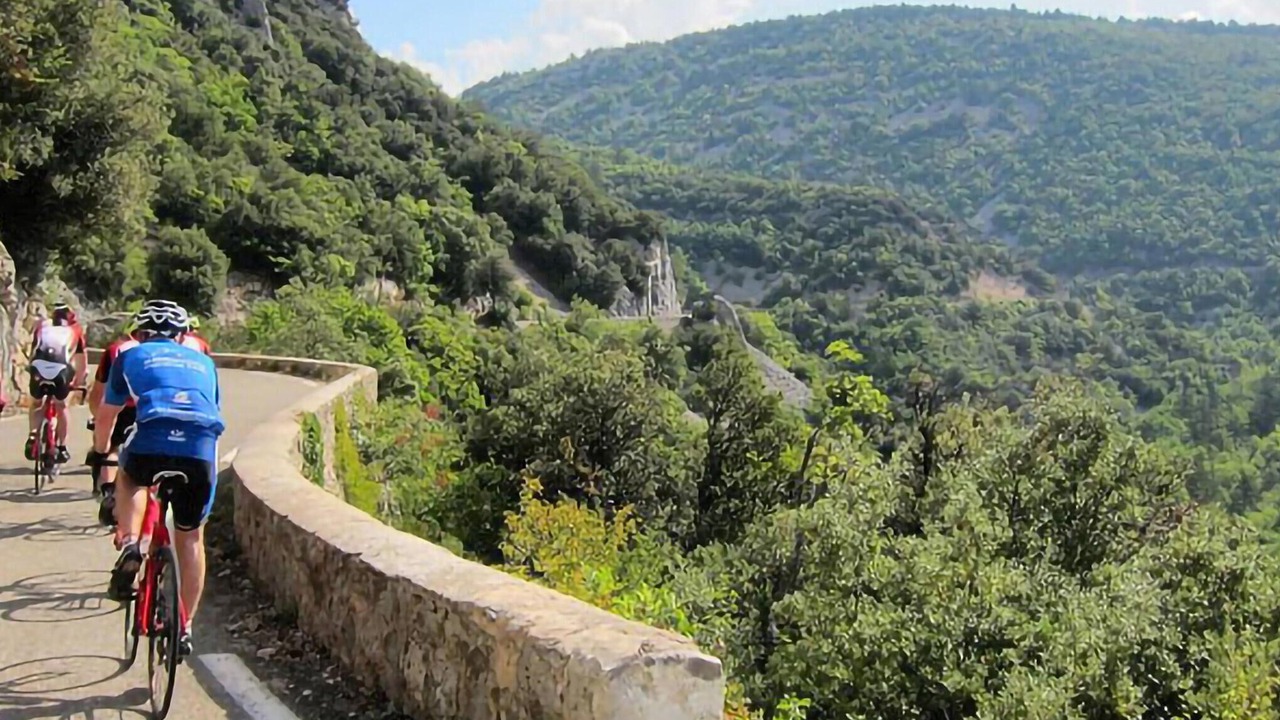 Photo of Others in Violes