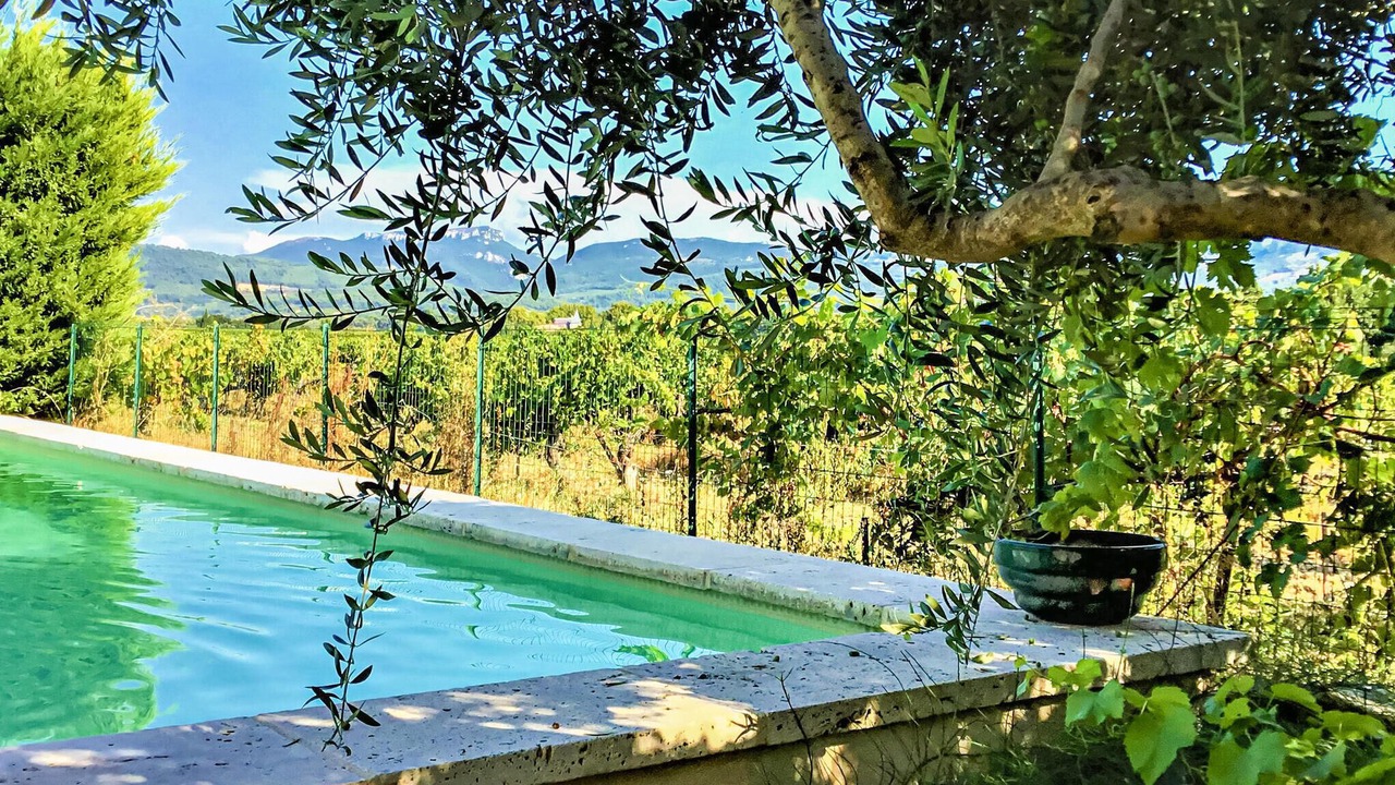 Photo of Outdoor in Violes