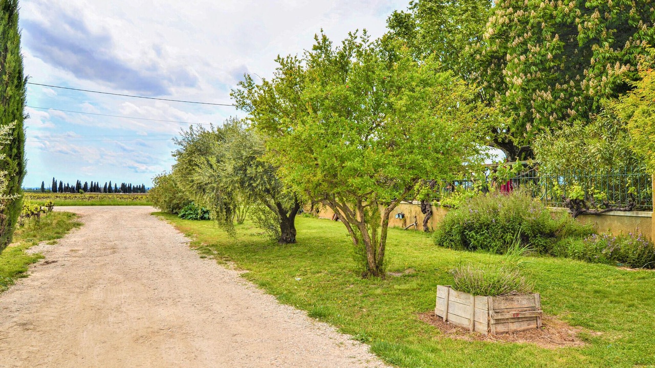 Photo of Others in Violes