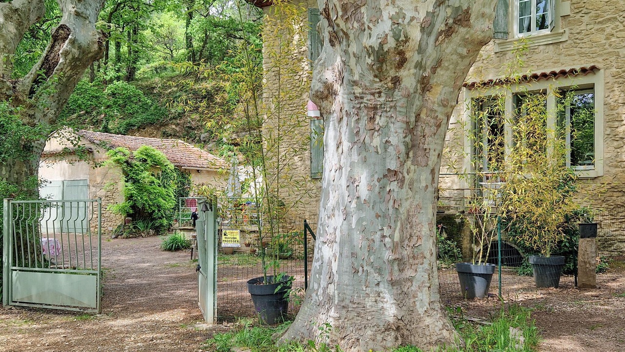 Photo of Others in Goult